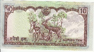 Beschrijving achterzijde: ANTELOPE